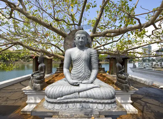 O Melhor do Sri Lanka