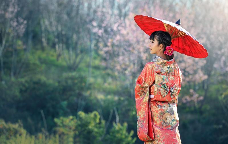 Japão dos Samurais (em português)