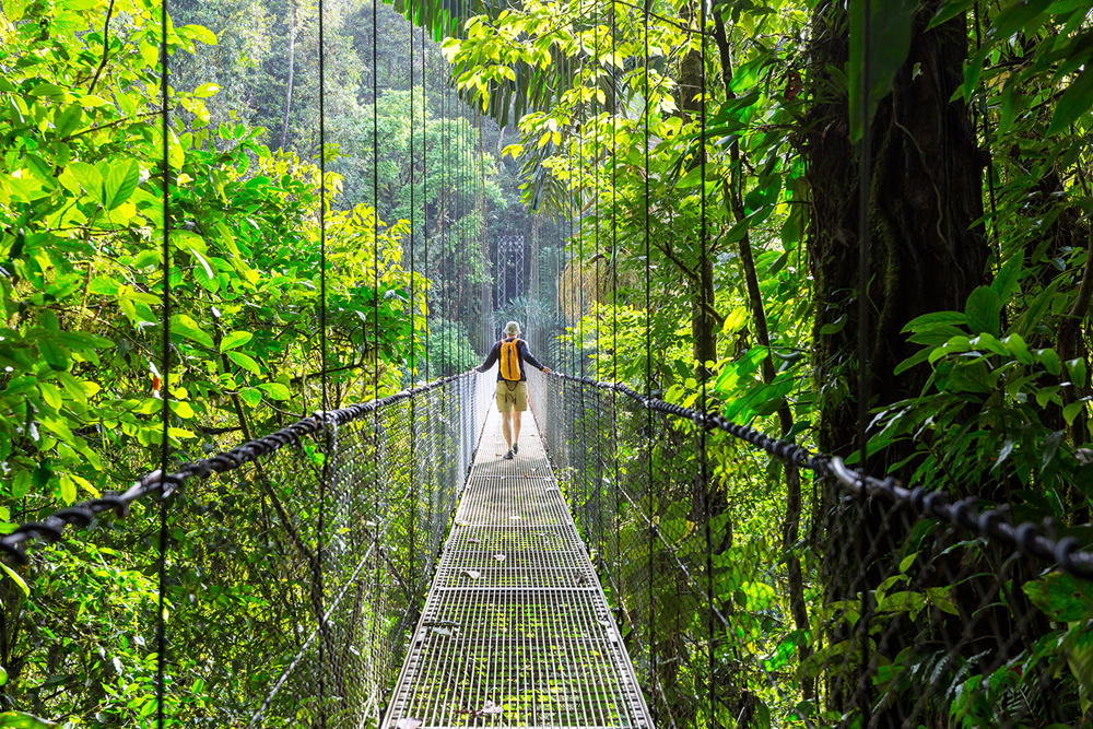 Imagem Destino
